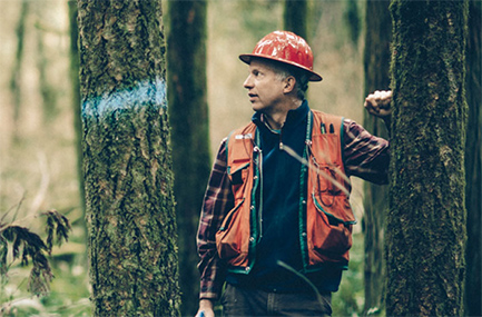 Timberland Management Image